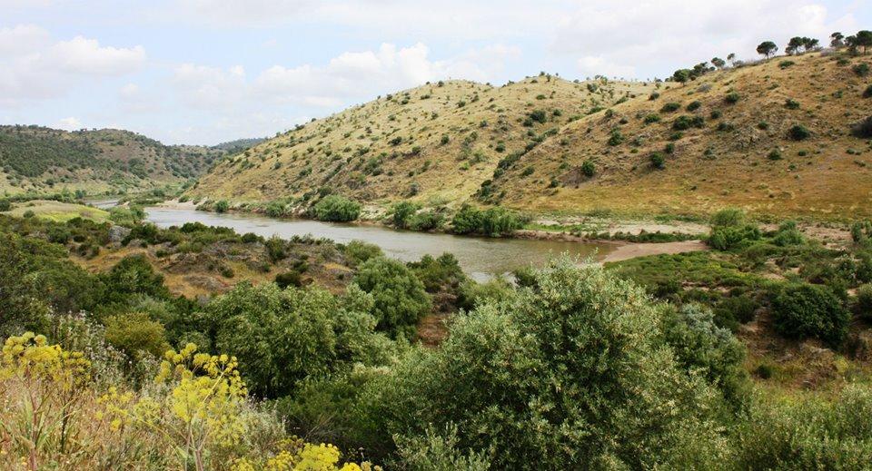 منزل الضيف Mértola  في Casa Do Funil المظهر الخارجي الصورة